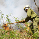Waldbrand Sonntag03.jpg