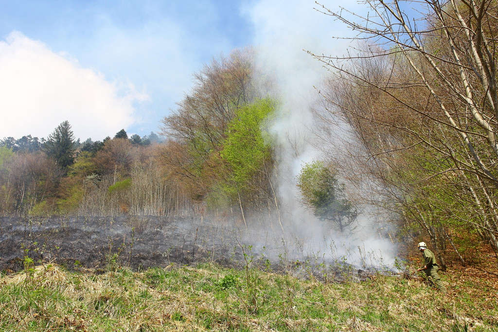 Waldbrand Sonntag04.jpg