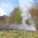 Waldbrand Sonntag04.jpg