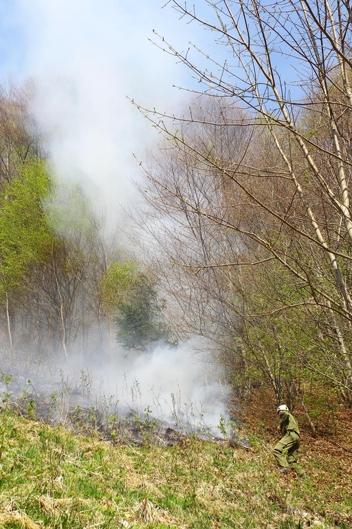 Waldbrand Sonntag05.jpg