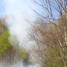 Waldbrand Sonntag05.jpg