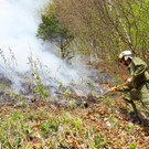 Waldbrand Sonntag06.jpg