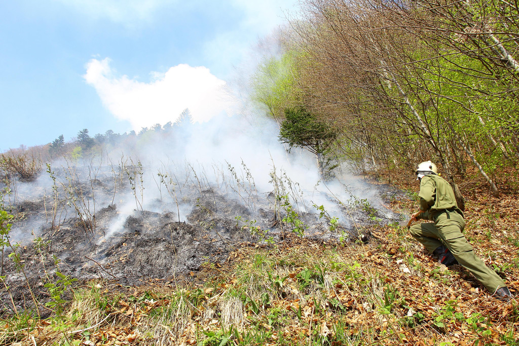 Waldbrand Sonntag07.jpg