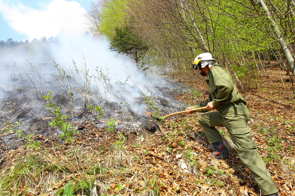 Waldbrand Sonntag08.jpg