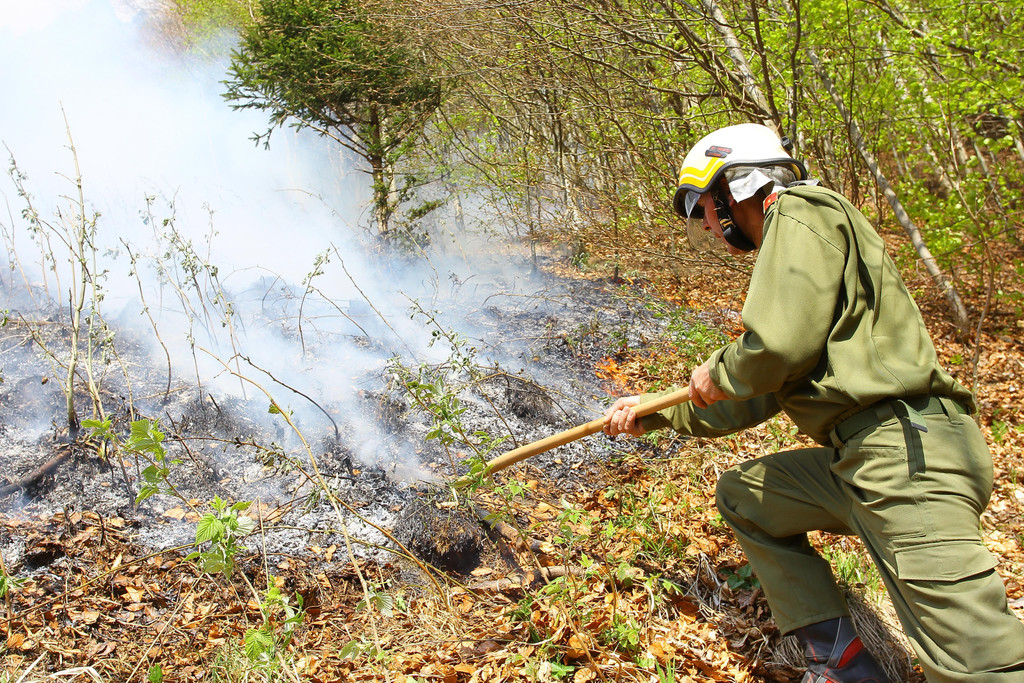 Waldbrand Sonntag09.jpg