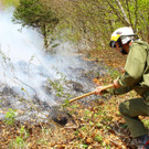 Waldbrand Sonntag09.jpg