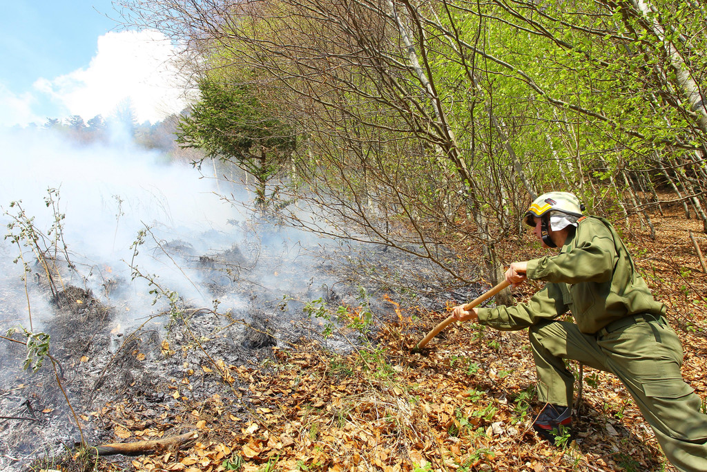 Waldbrand Sonntag10.jpg