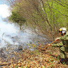 Waldbrand Sonntag10.jpg