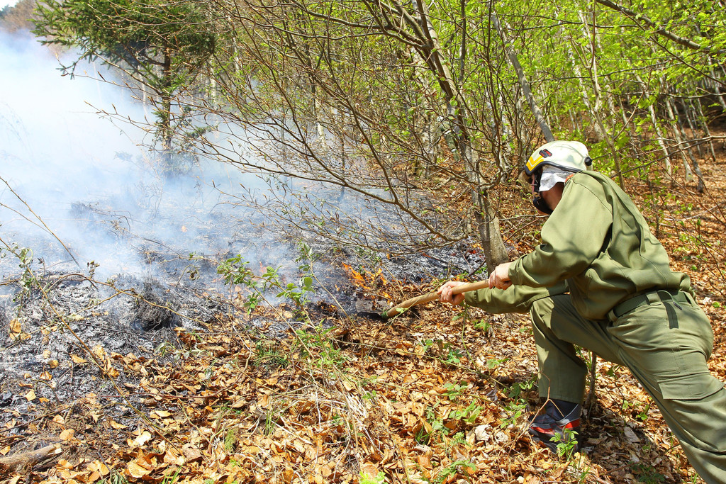 Waldbrand Sonntag11.jpg