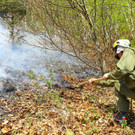 Waldbrand Sonntag11.jpg
