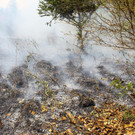 Waldbrand Sonntag12.jpg