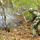 Waldbrand Sonntag13.jpg