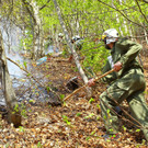 Waldbrand Sonntag14.jpg