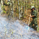 Waldbrand Sonntag16.jpg