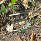 Waldbrand Sonntag17.jpg