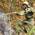 Waldbrand Sonntag19.jpg
