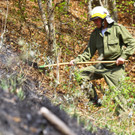 Waldbrand Sonntag20.jpg