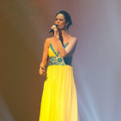 IBD0050-20140427.jpg