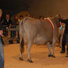 DSC_0076.JPG