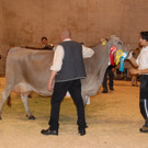 DSC_0077.JPG