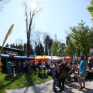 k-IMG_2100.JPG