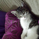 20130910_154251.jpg