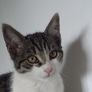 20130911_151516.jpg