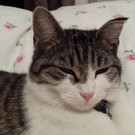 20140417_222911.jpg