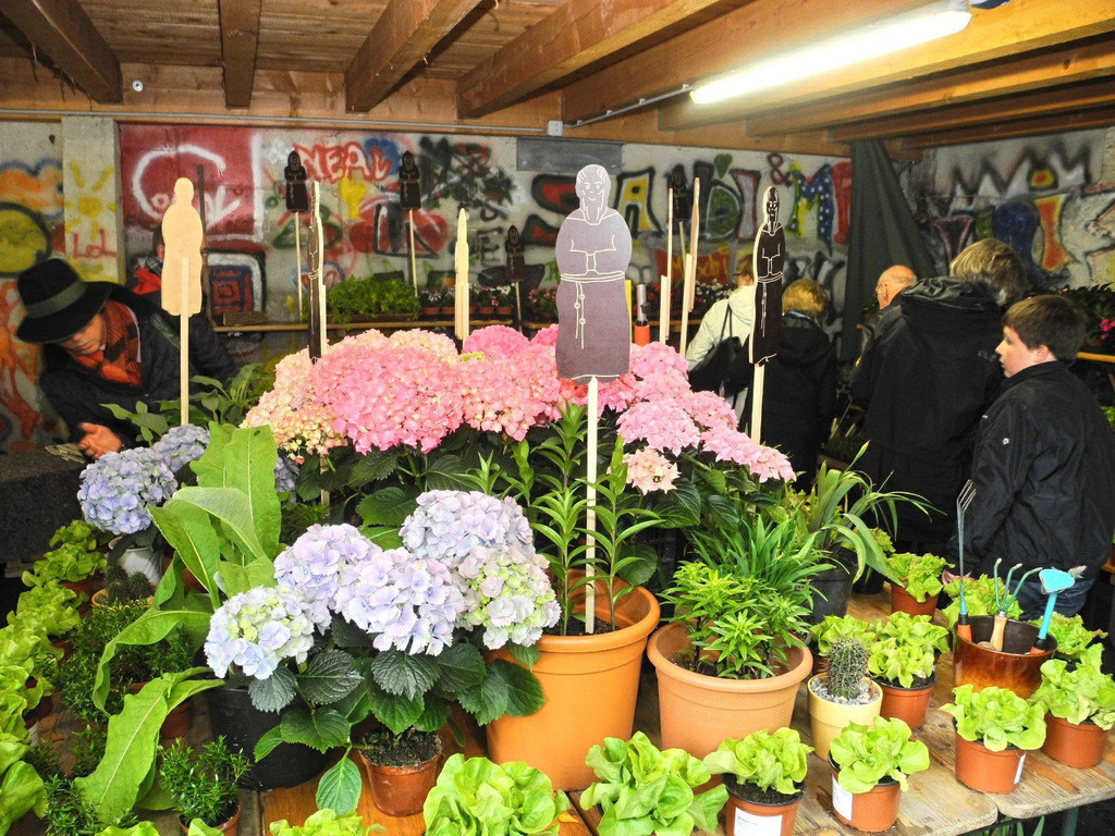 DSCN2355.JPG