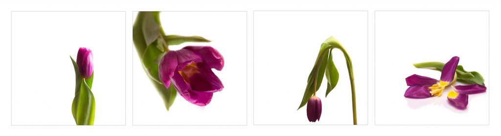 4seasons _ Crimi Ruth.jpg