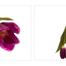 4seasons _ Crimi Ruth.jpg