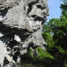 DSCN2175.JPG