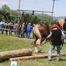IMG_0014.jpg