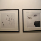 DSCN2267.JPG