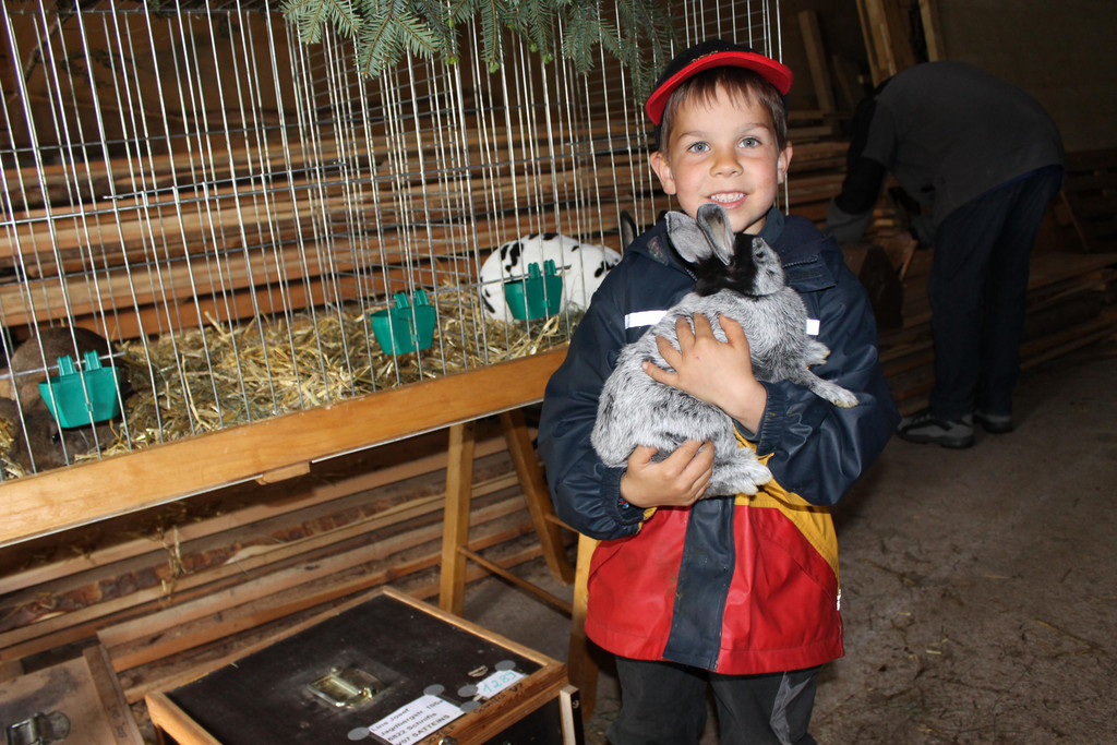 Oberl__nder Ziegenausstellung 044.JPG