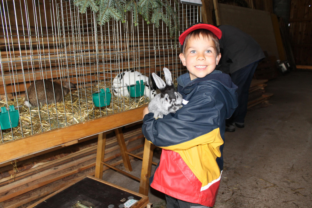 Oberl__nder Ziegenausstellung 046.JPG