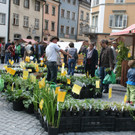 IMG_9920.jpg