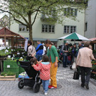 IMG_9955.jpg