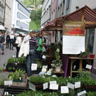 IMG_9974.jpg