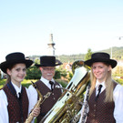 Musikverein Maiblasen SYMBOLFOTO 2014 _3_.jpg