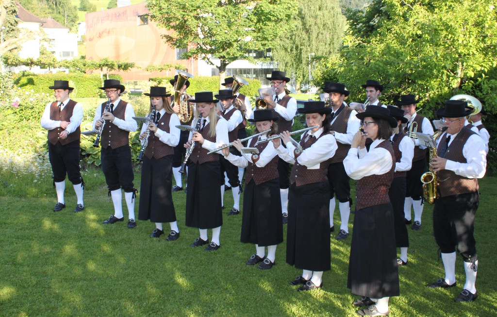 Musikverein Maiblasen SYMBOLFOTO 2014 _4_.jpg