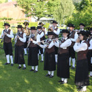Musikverein Maiblasen SYMBOLFOTO 2014 _4_.jpg