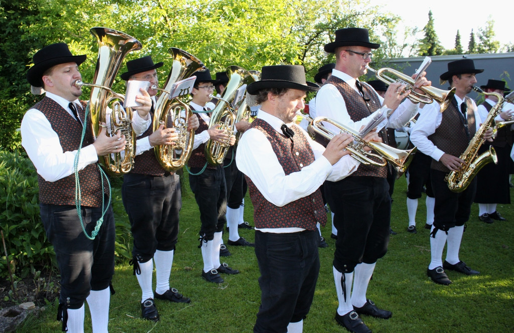 Musikverein Maiblasen SYMBOLFOTO 2014 _2_.jpg