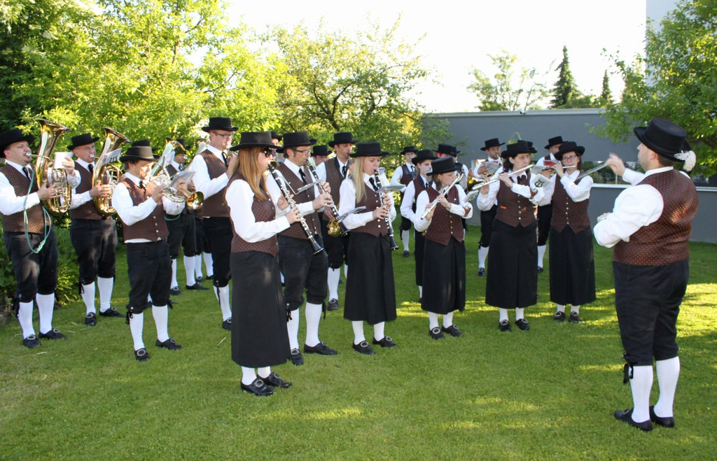 Musikverein Maiblasen SYMBOLFOTO 2014 _5_.jpg