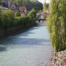 IMG_9734.jpg