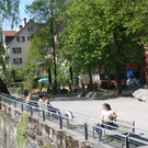 IMG_9735.jpg