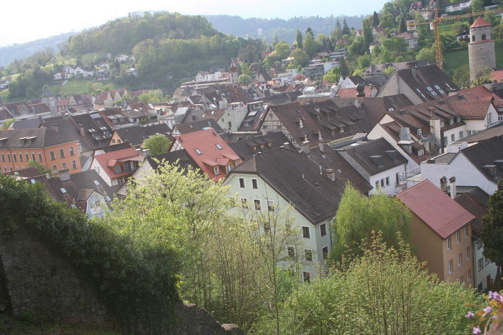 IMG_9918.jpg