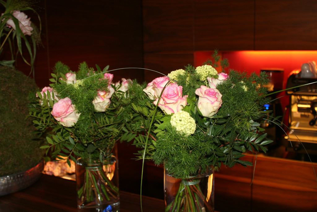 IMG_7951.JPG