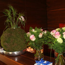 IMG_7952.JPG