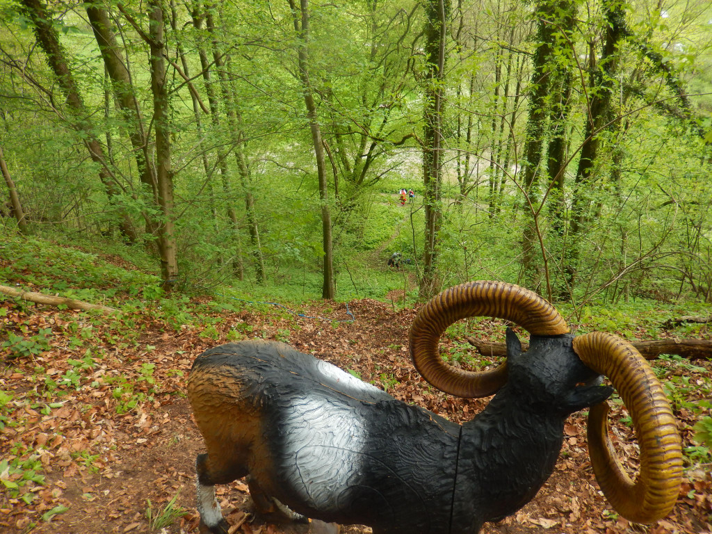 Umlachtal 2014 075.JPG